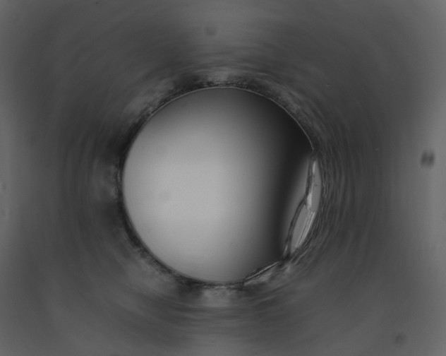 X0000092250470200710051302