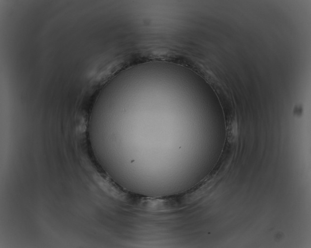 X0000092250472200710051302