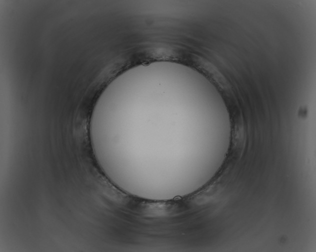 X0000092250473200710051302