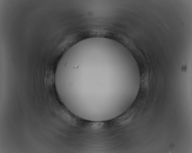 X0000092250474200710051302