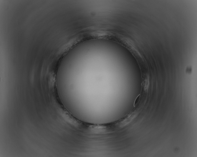 X0000092250476200710051303