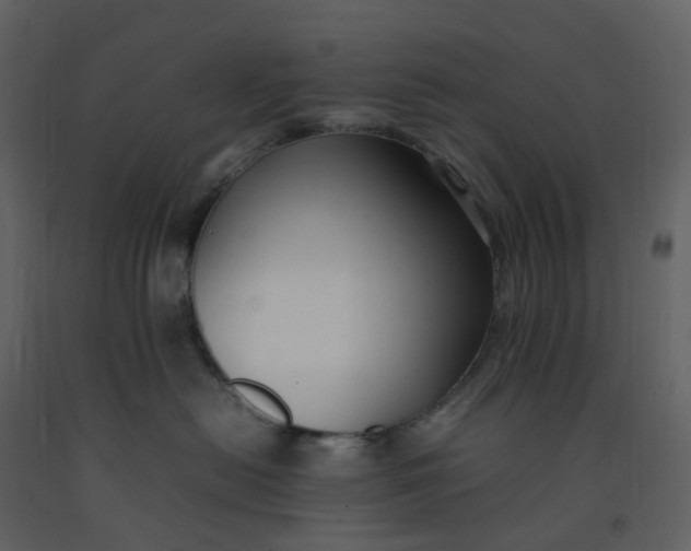 X0000092250478200710051303
