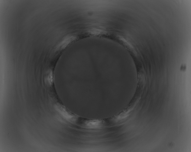 X0000092250479200710051303