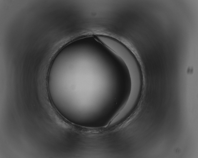 X0000092250481200710051302