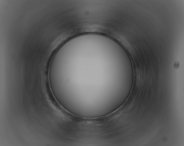 X0000092250482200710051302