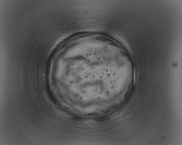 X0000092250483200710051302