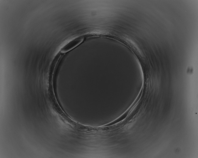 X0000092250484200710051302