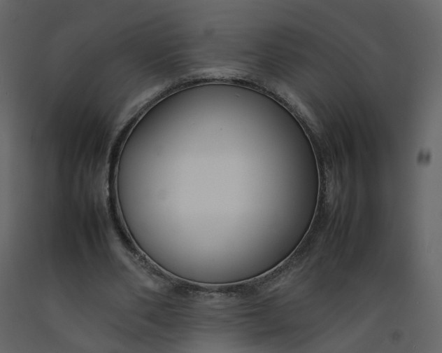 X0000092250486200710051302
