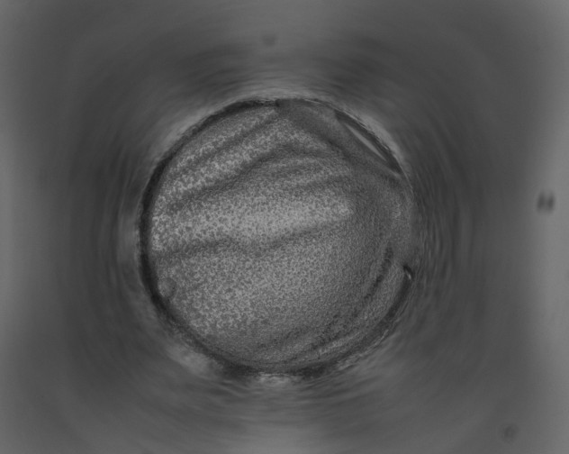 X0000092250487200710051302
