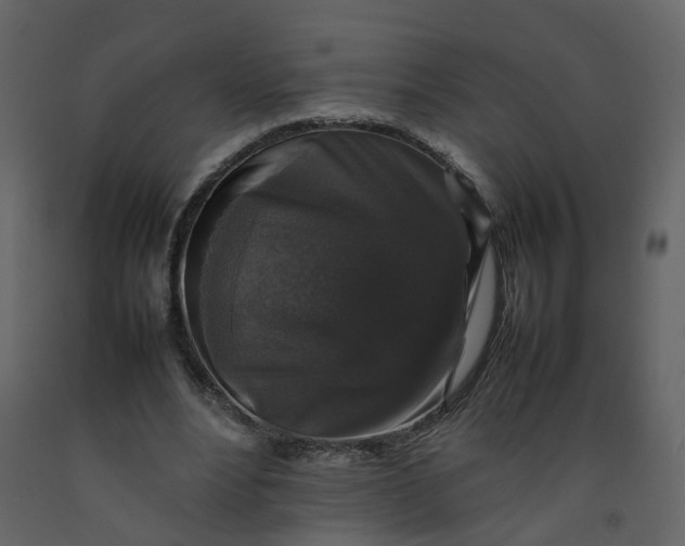 X0000092250488200710051302