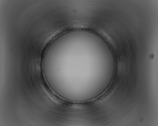 X0000092250490200710051302