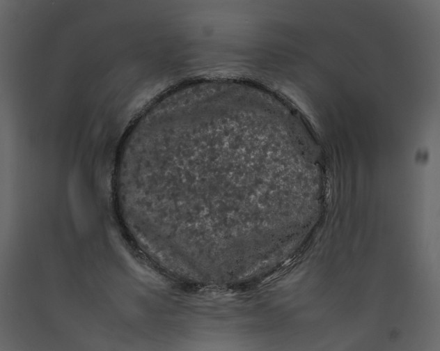 X0000092250491200710051302