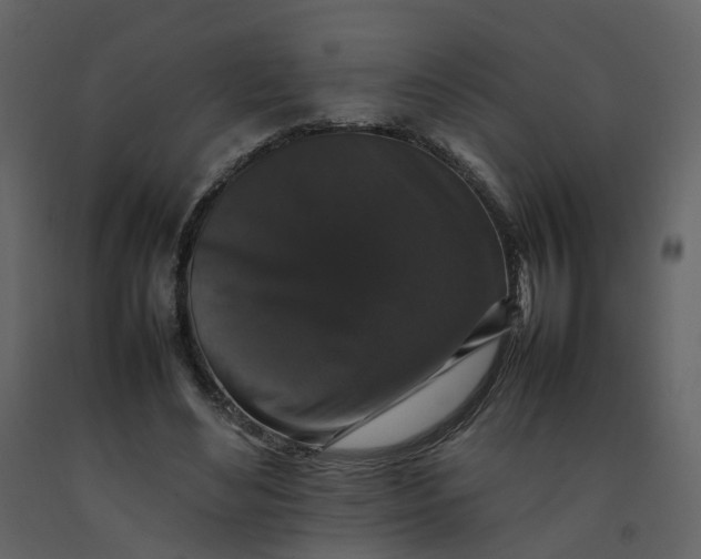X0000092250492200710051302