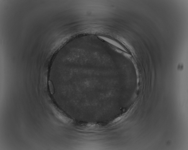 X0000092250493200710051302
