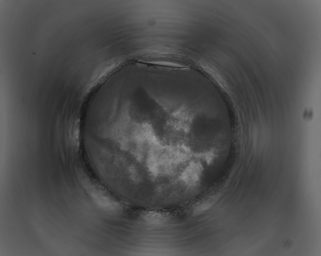 X0000092250494200710051302