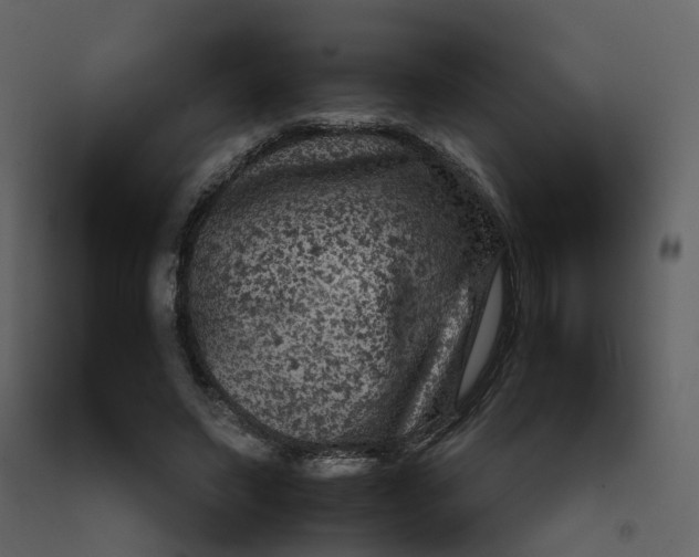 X0000092250495200710051302