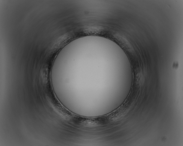 X0000092250498200710051302