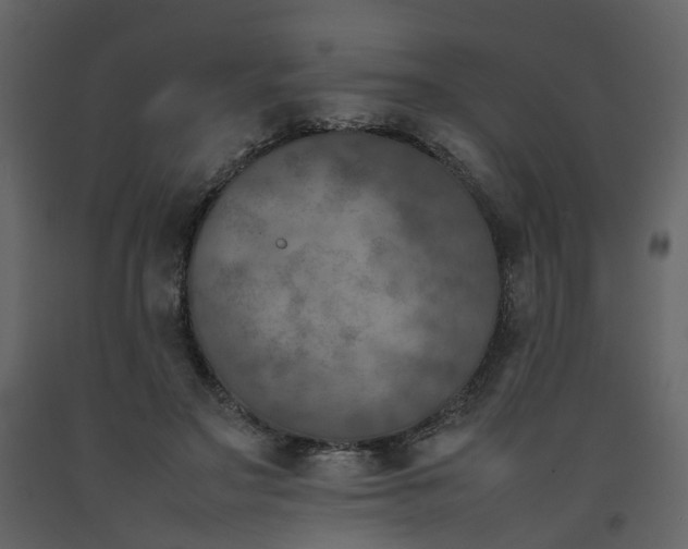 X0000092250499200710051302