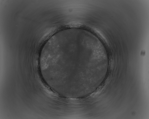 X0000092250501200710051302