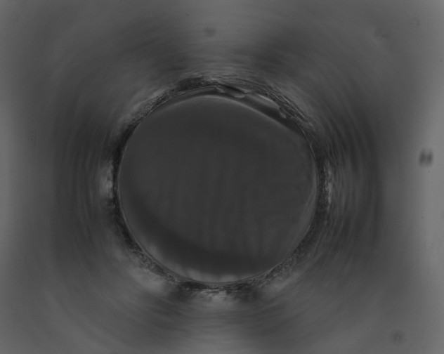 X0000092250502200710051302