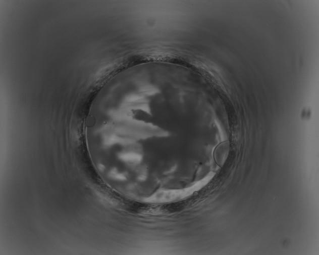 X0000092250503200710051302
