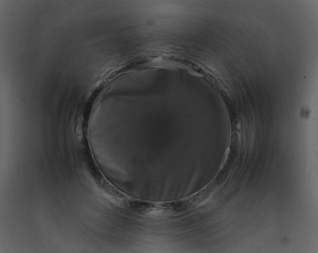 X0000092250504200710051302