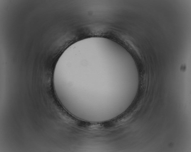 X0000092250505200710051301