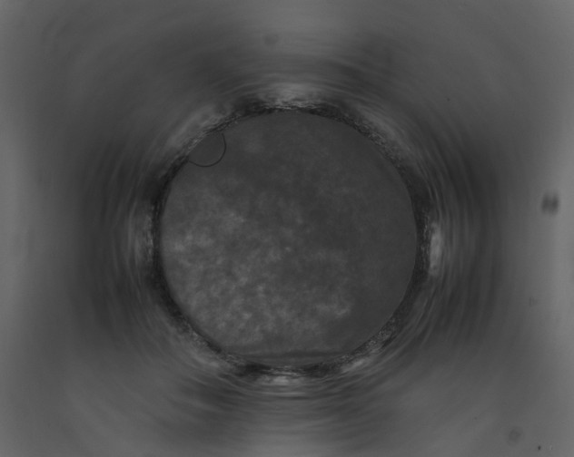 X0000092250506200710051301