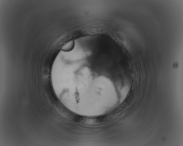 X0000092250507200710051301