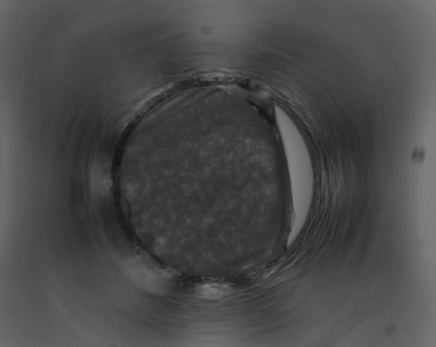 X0000092250508200710051301