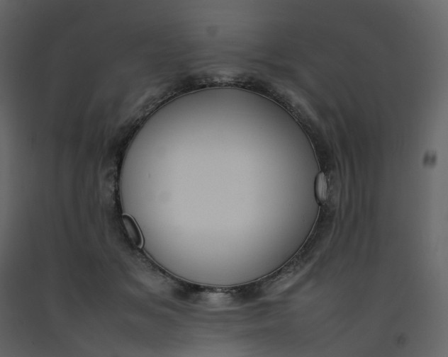 X0000092250509200710051301