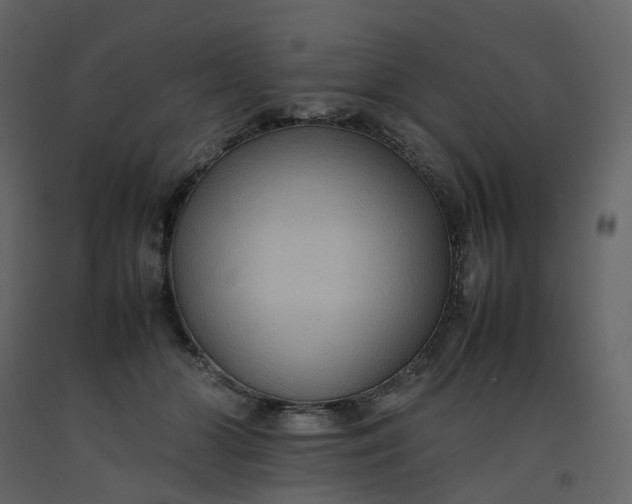 X0000092250510200710051301