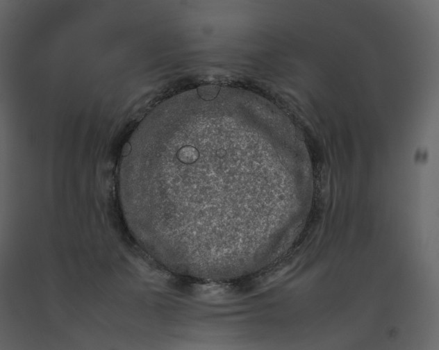 X0000092250511200710051301