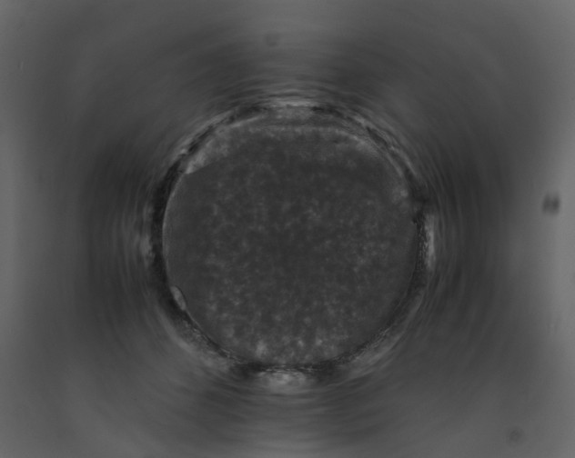 X0000092250512200710051301