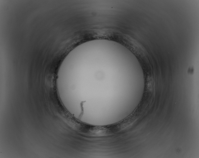 X0000092250514200710051301