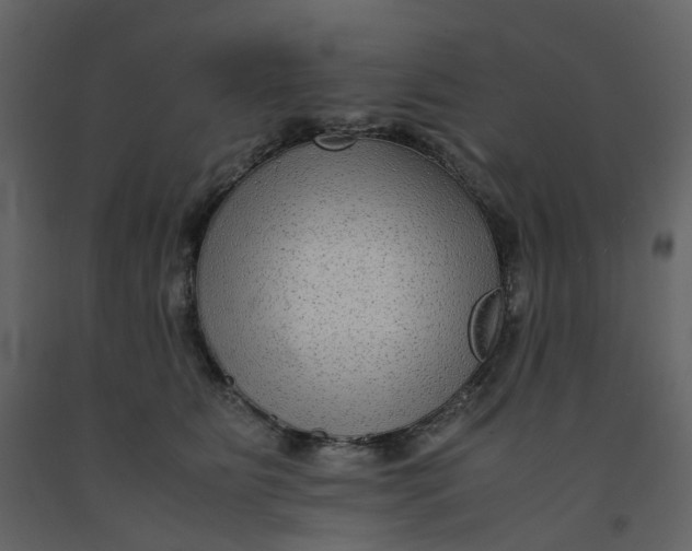 X0000092250515200710051301