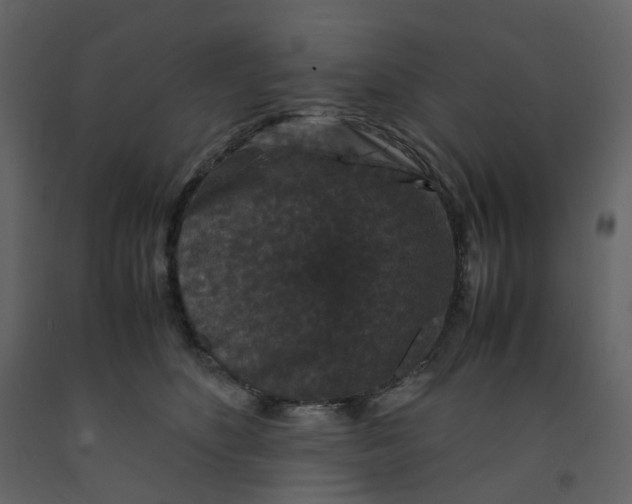X0000092250516200710051301