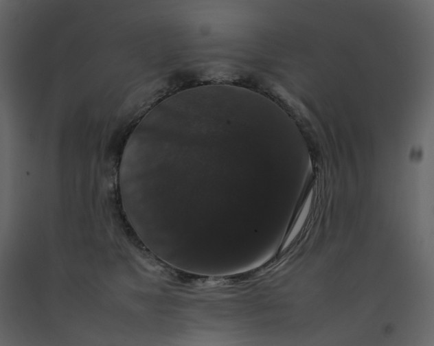 X0000092250517200710051301