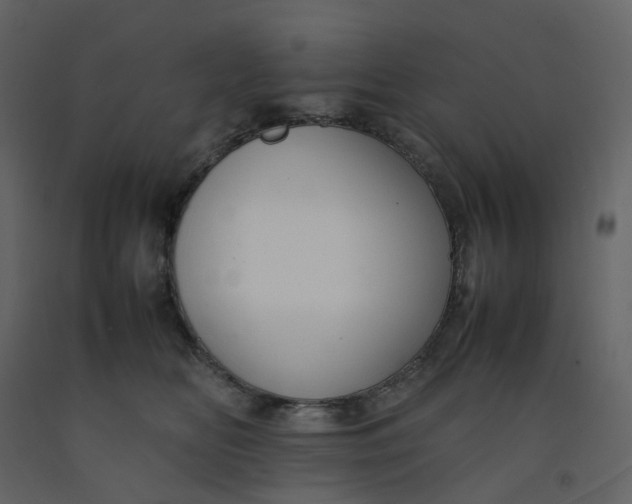 X0000092250518200710051301