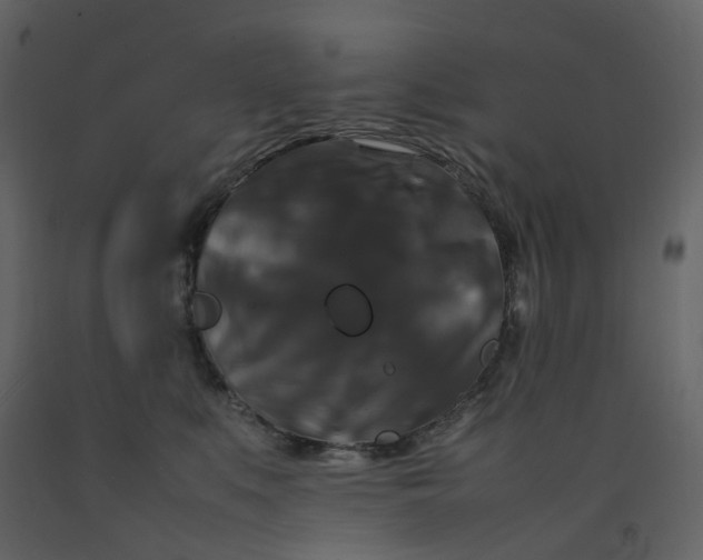 X0000092250519200710051301