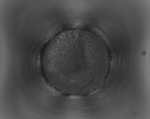X0000092250520200710051301