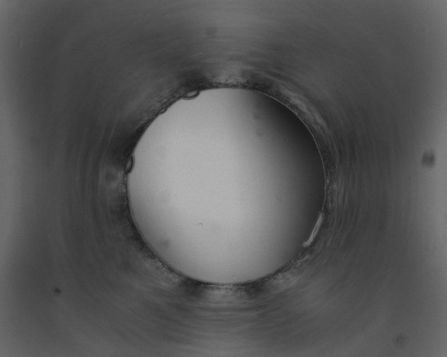 X0000092250521200710051301