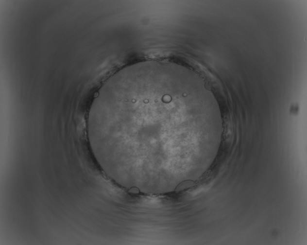 X0000092250523200710051301