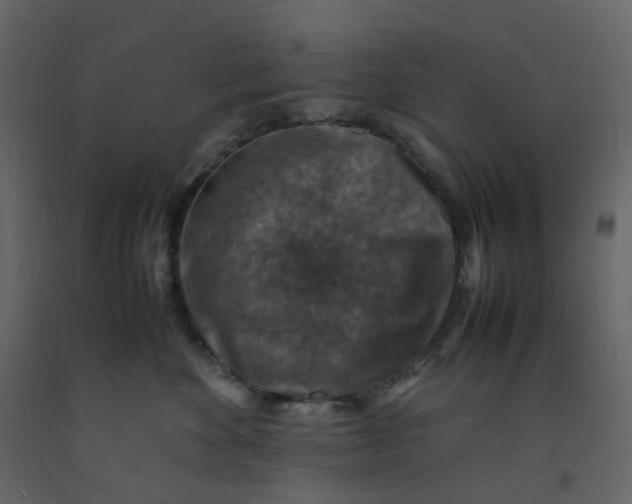 X0000092250524200710051301