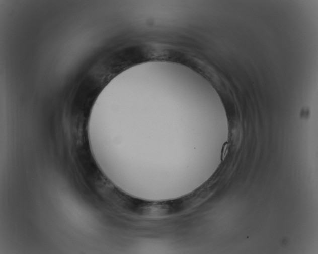 X0000092250525200710051301