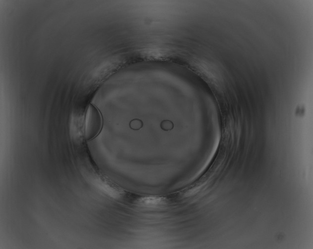 X0000092250526200710051301