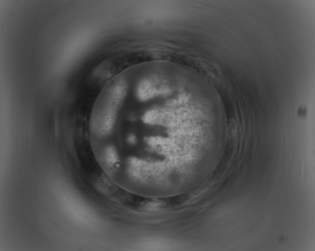X0000092250527200710051301