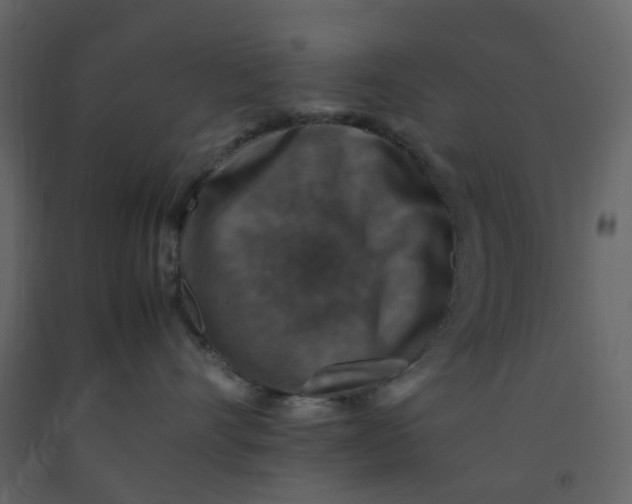 X0000092250528200710051301