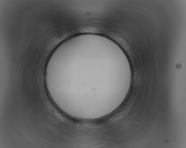 X0000092250529200710051300