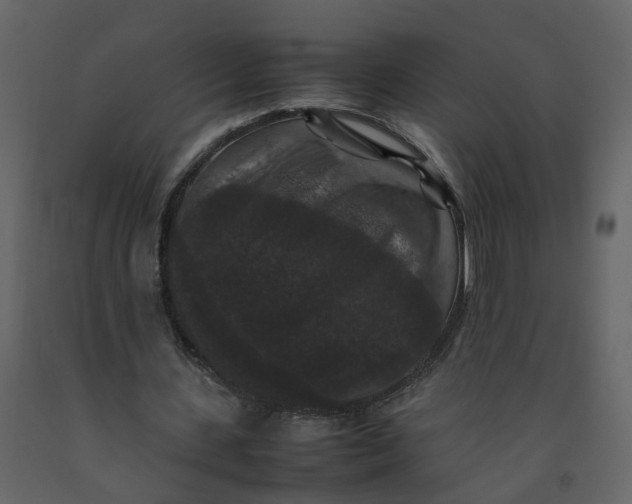 X0000092250531200710051300